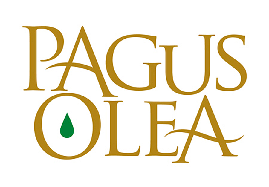 Diseño logotipo Cordoba. Pagus Olea