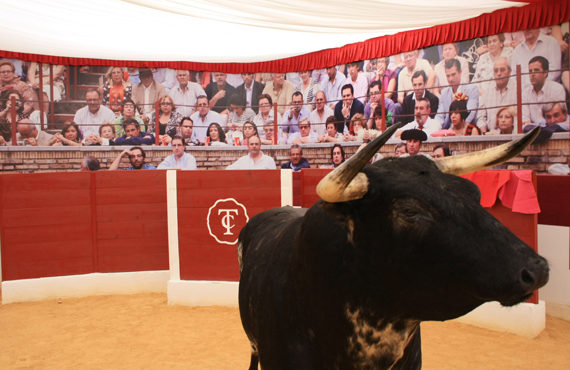 Casa de Las Tradiciones