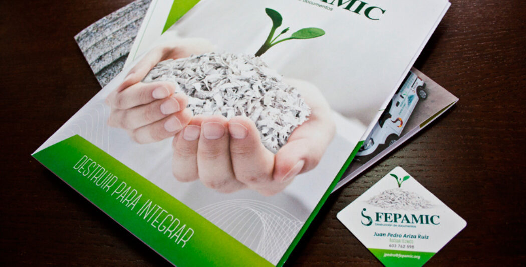 Destruir para Crear: Fepamic