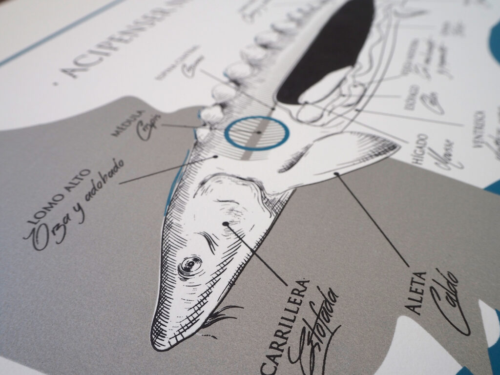 Ilustración, detalles que marcan la diferencia