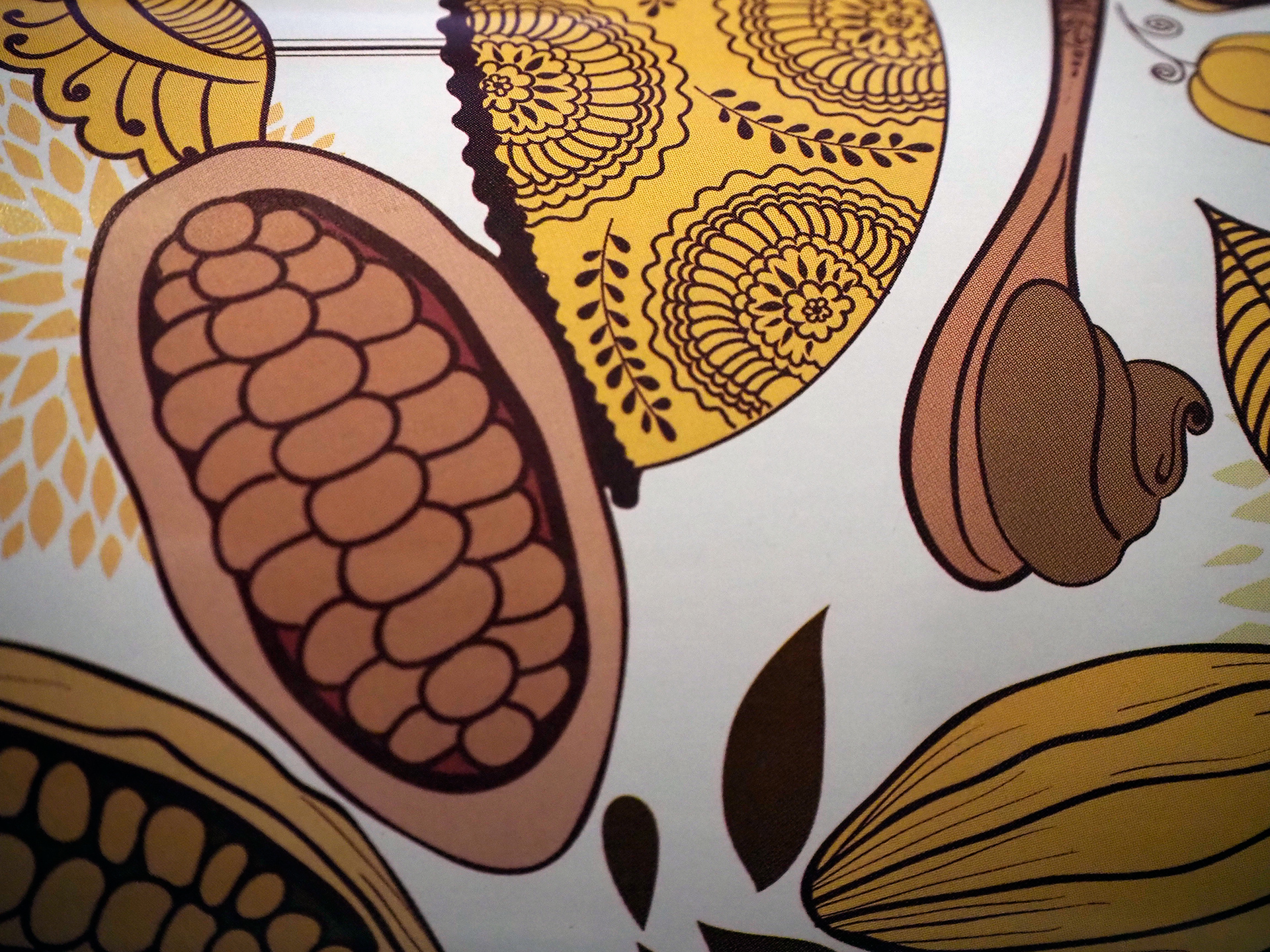 Packaging dulce I love cacao