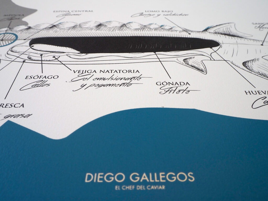 Ilustración, detalles que marcan la diferencia