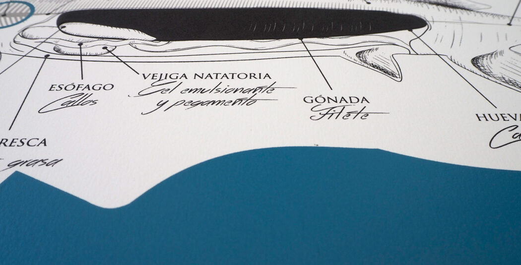 Ilustración, detalles que marcan la diferencia