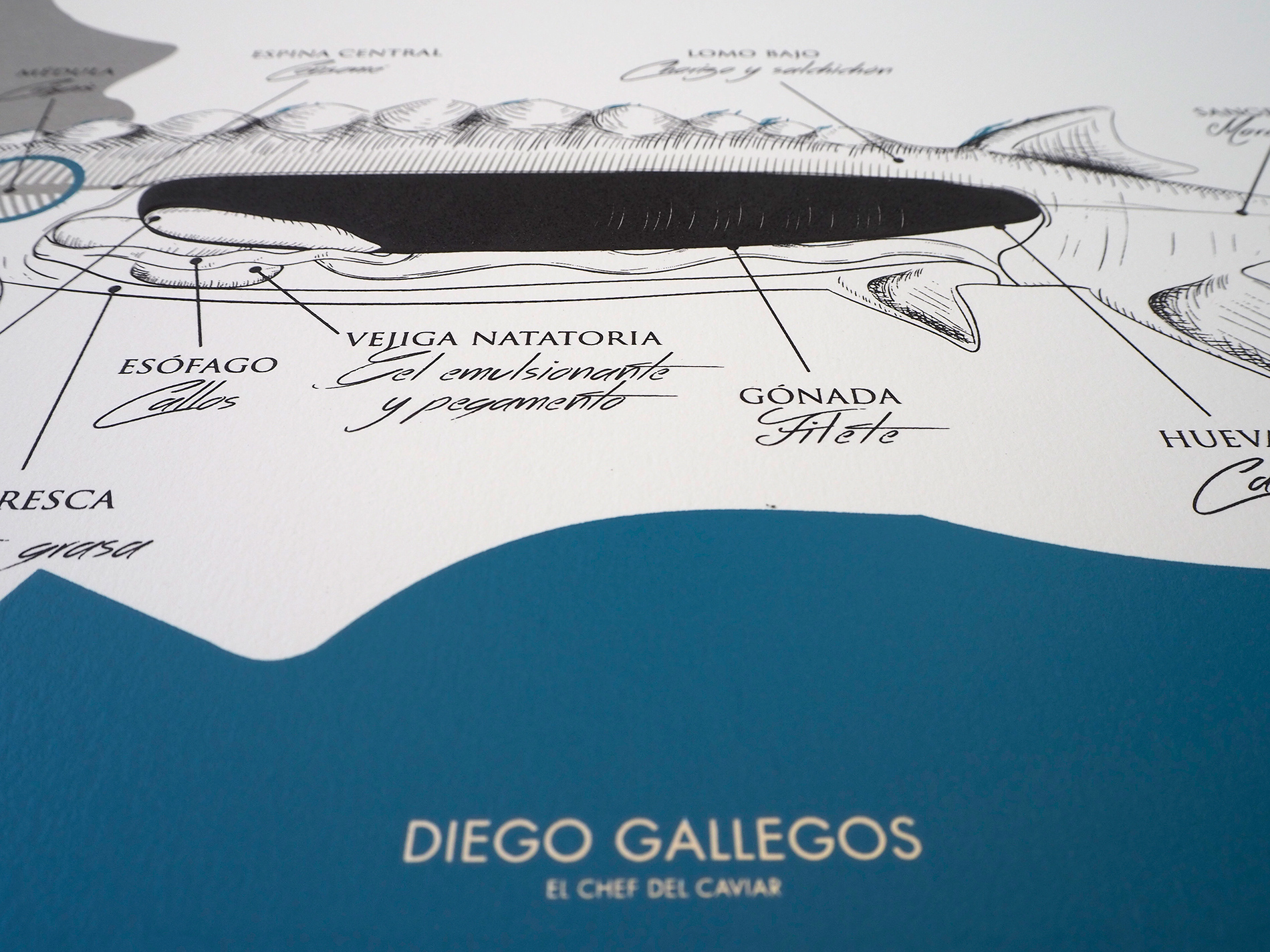 Ilustración, detalles que marcan la diferencia