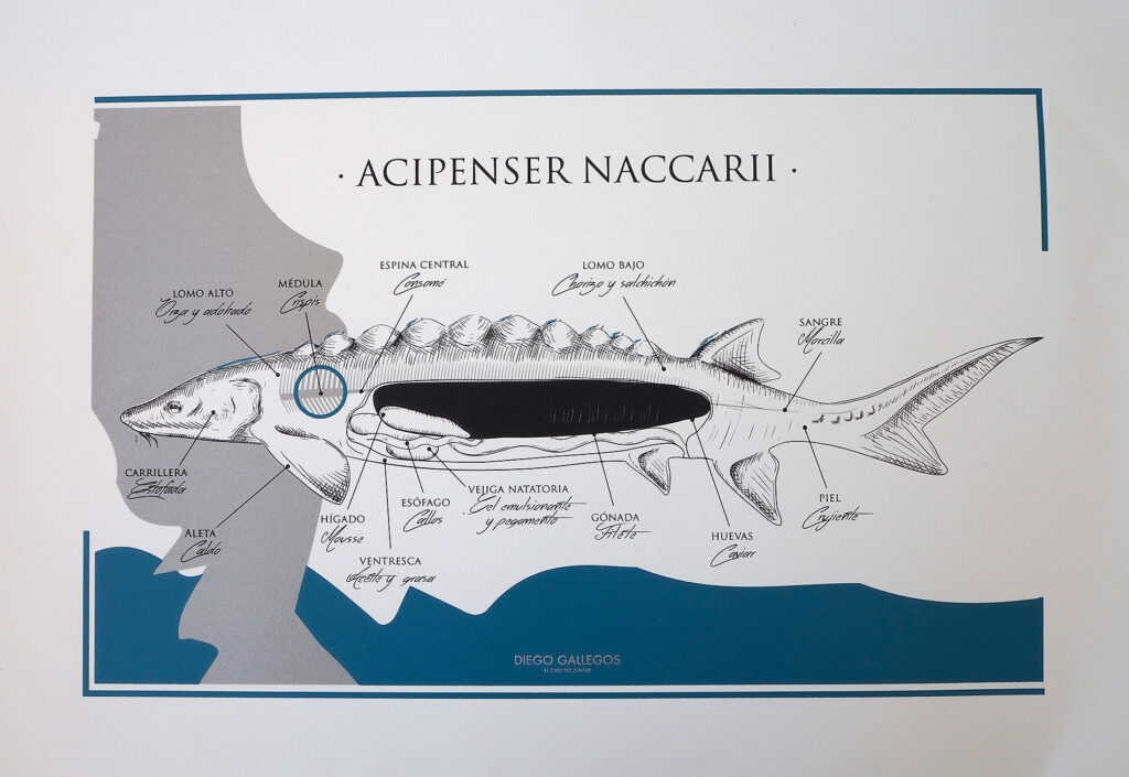 Ilustración, detalles que marcan la diferencia