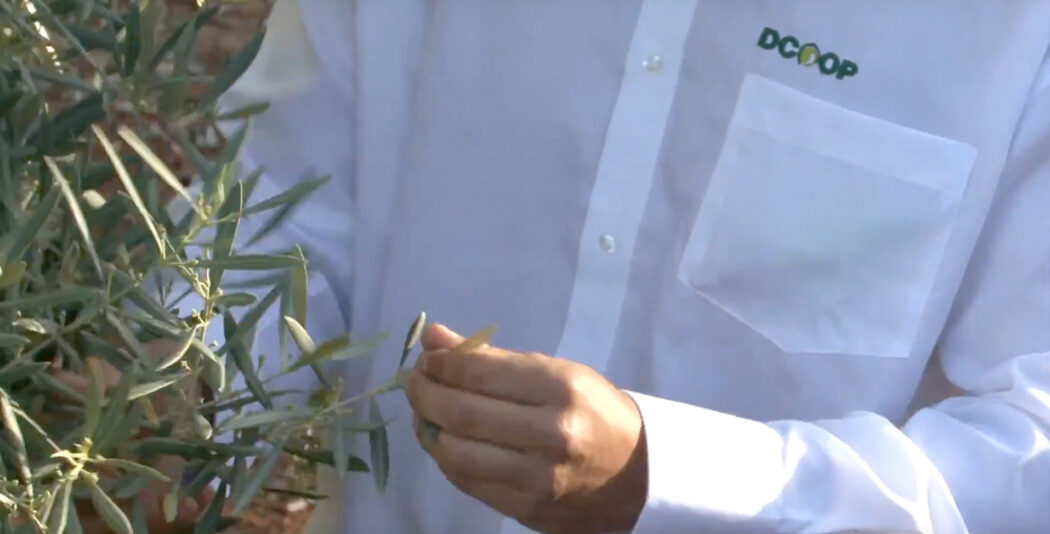 Vídeo para DCOOP Suministros y Servicios