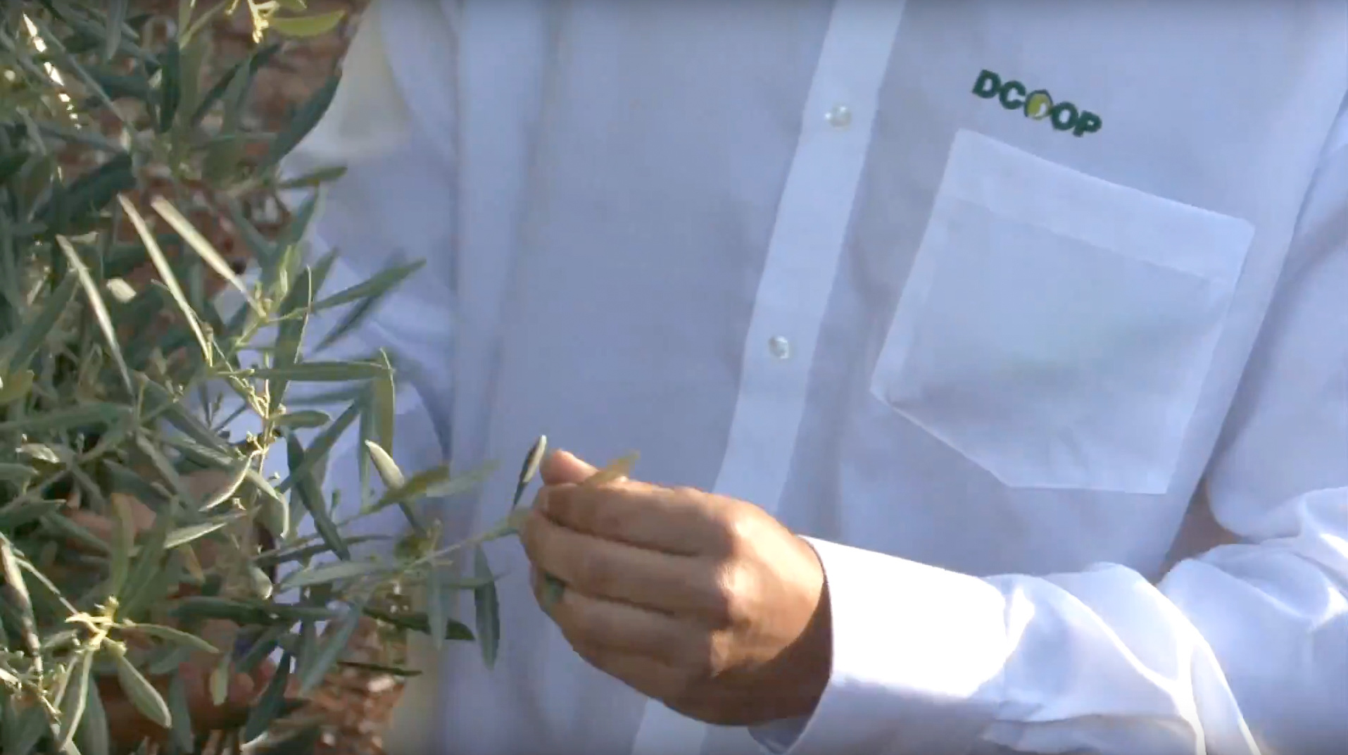 Vídeo para DCOOP Suministros y Servicios