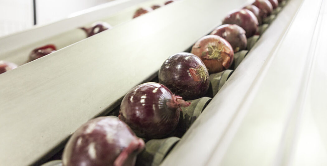 Preparando un nuevo catálogo