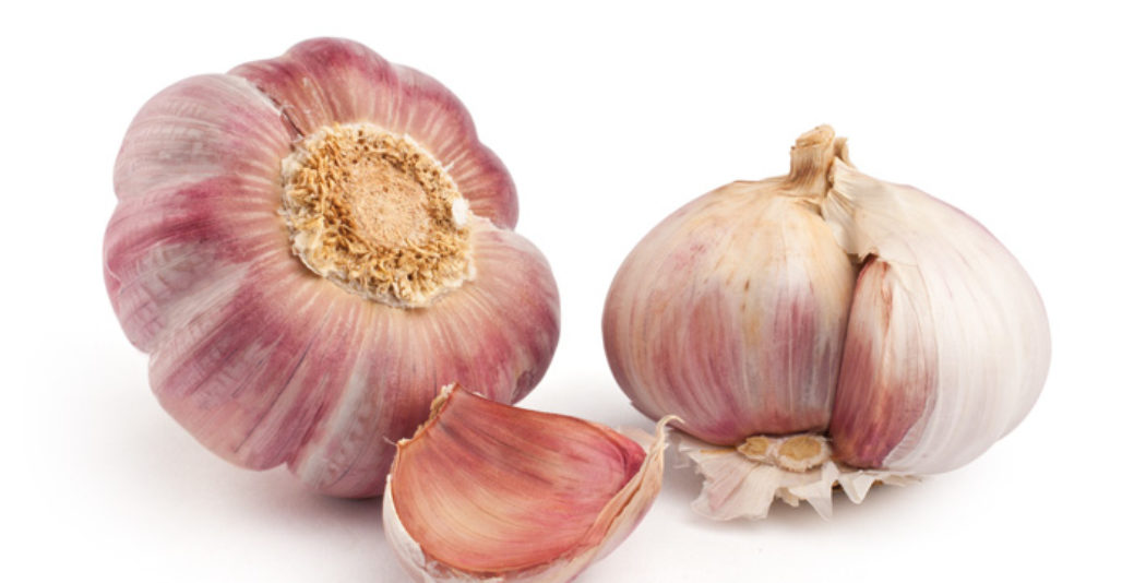 Branding Fuente el Pino