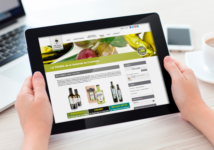 Web Hacienda de Colchado