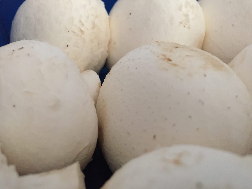 Fibroína, alimentos más frescos 