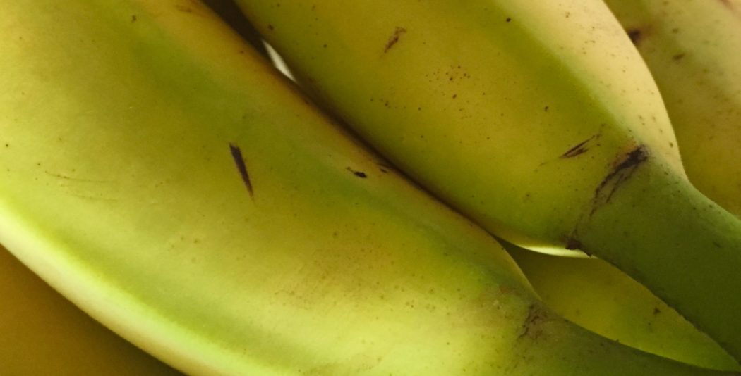 Fibroína, alimentos más frescos