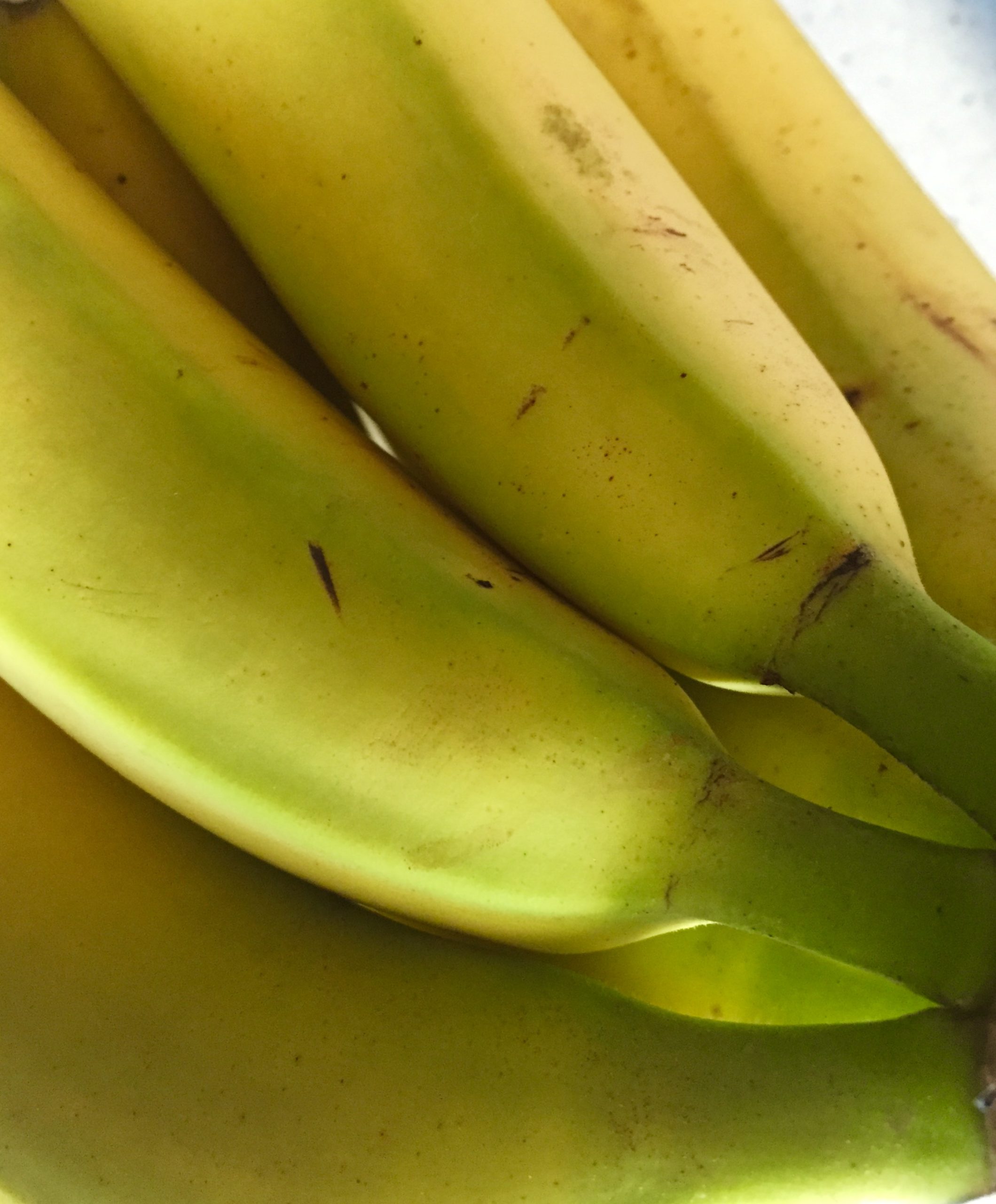 Fibroína, alimentos más frescos