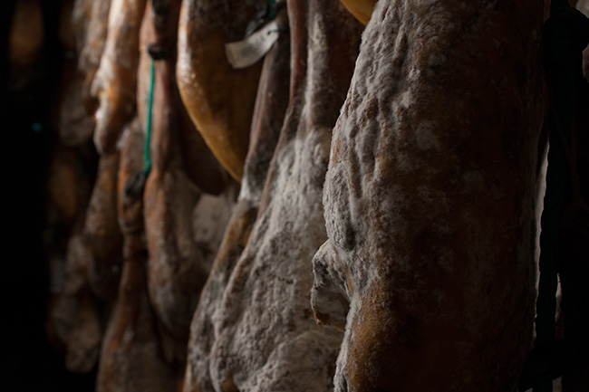 Guía etiquetado Ibérico 2016