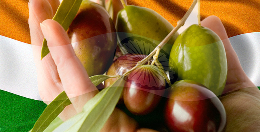 Claves para exportar aceite de oliva a India