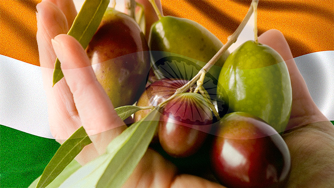 Claves para exportar aceite de oliva a India