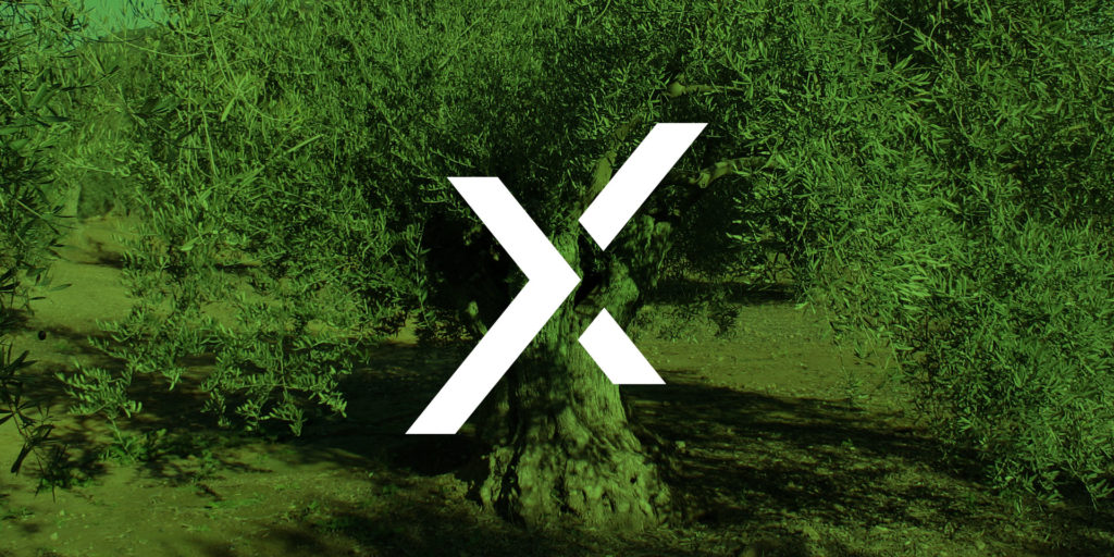 Branding NAO EXPORT, diseño de logotipo