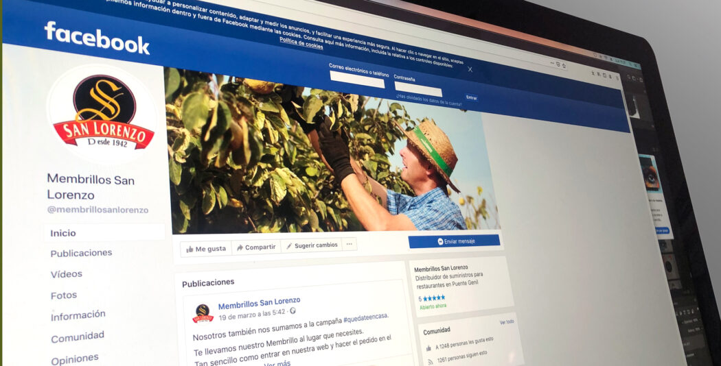 Diseño web y catálogo corporativos