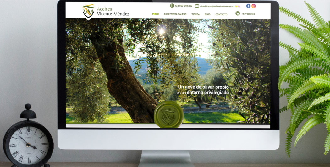 Web de Vicente Méndez