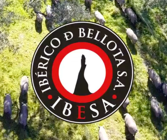 Ibesa «La pureza de una Raza»