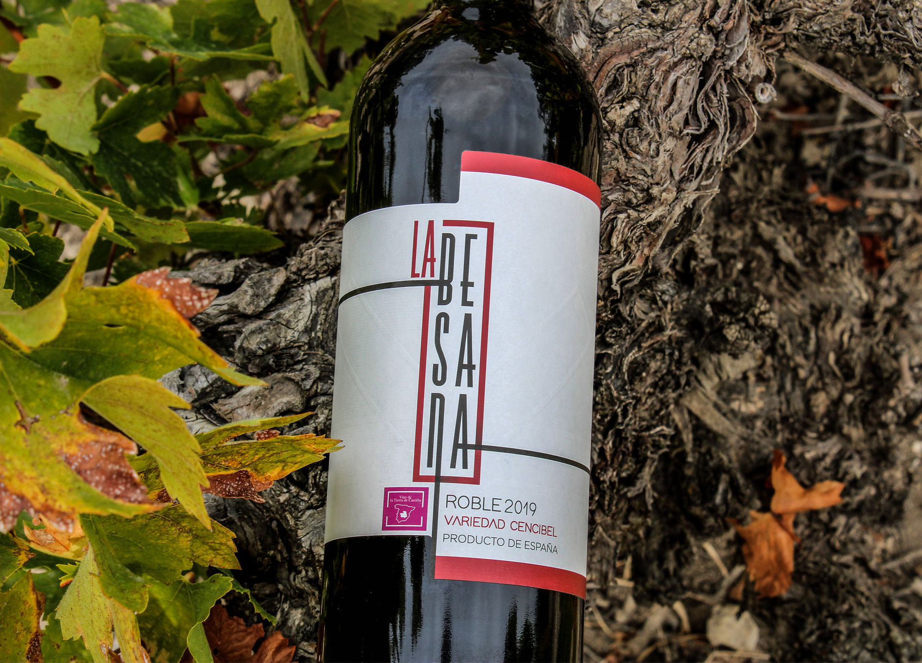 Diseño de packaging vino La Besana