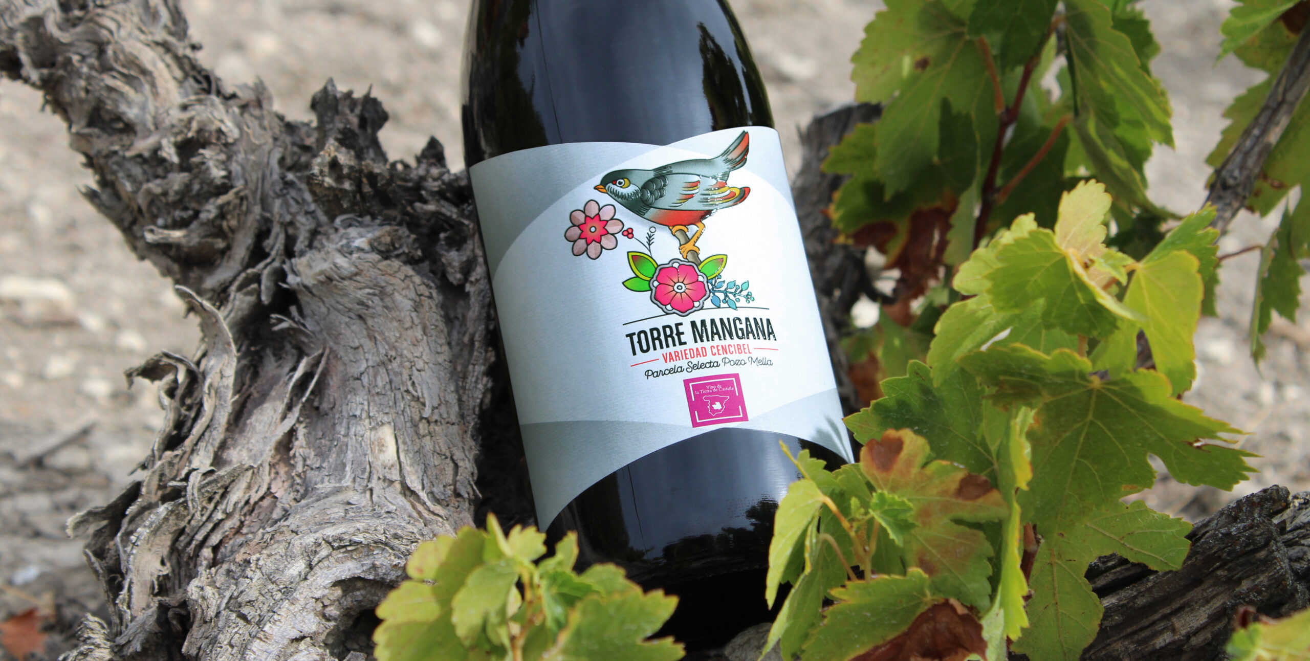 Torre Mangana etiqueta Old School