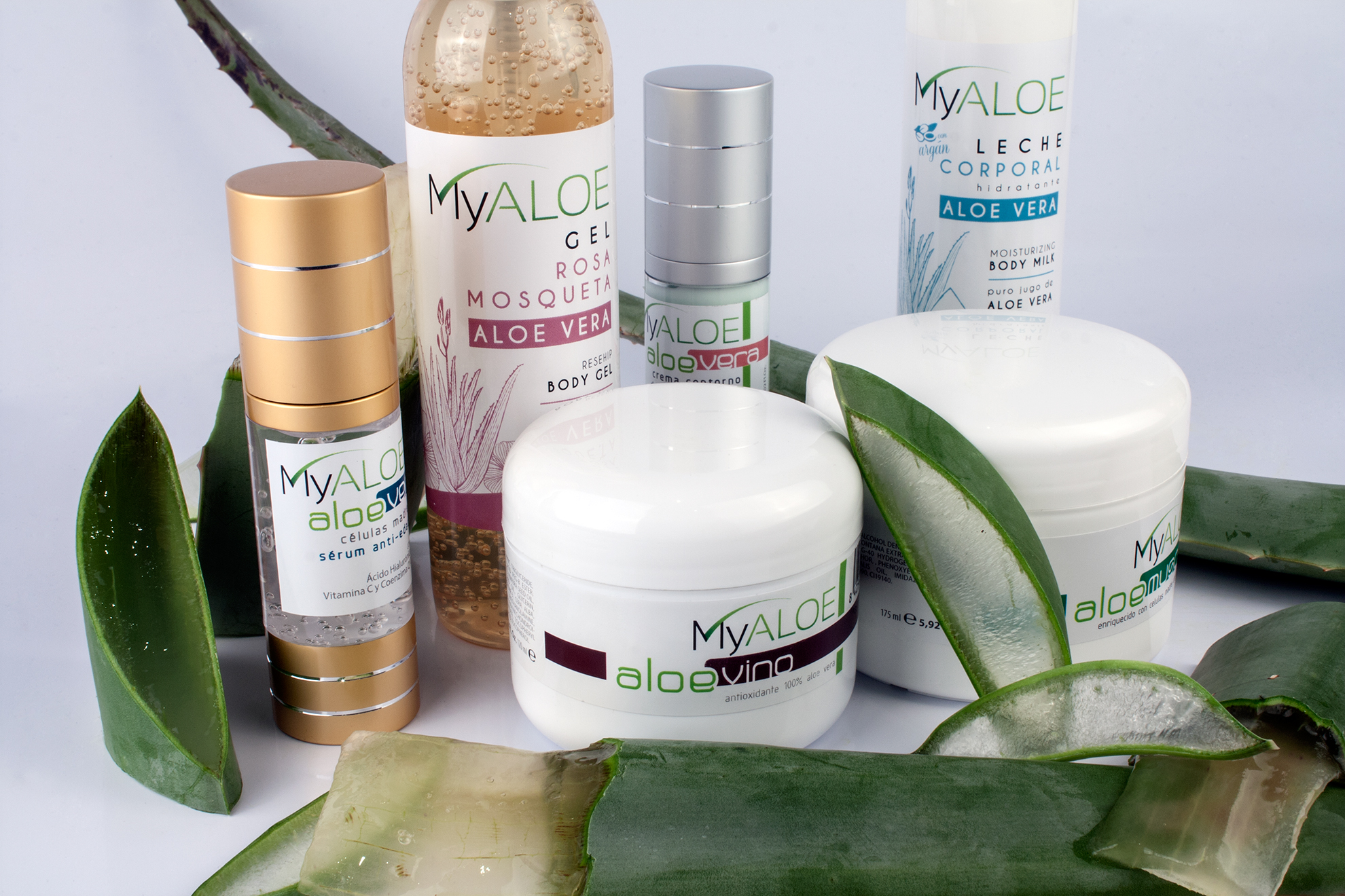 Diseño de etiquetas para queso