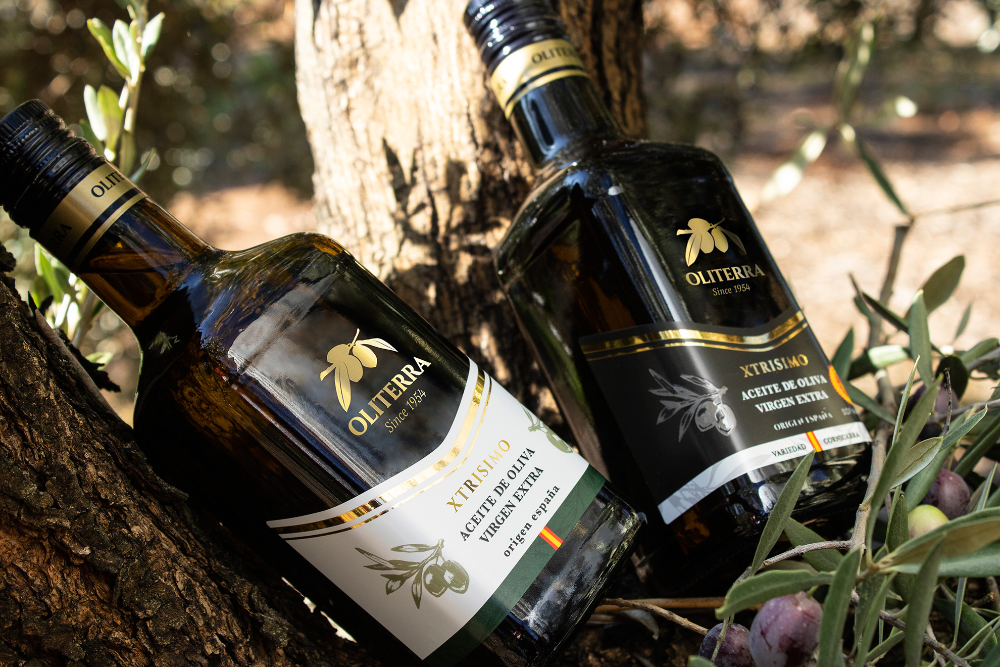 xtrisimo olive oil packaging design