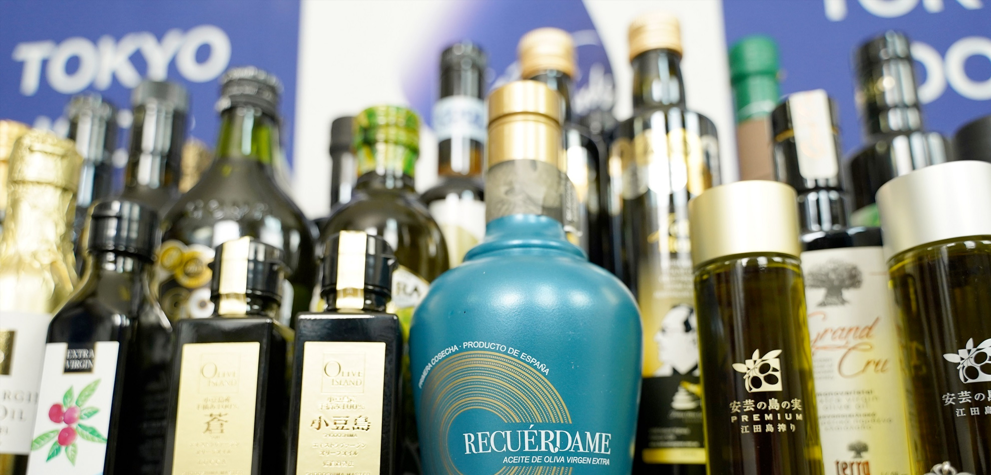 Los 76 mejores concursos de aceite de oliva