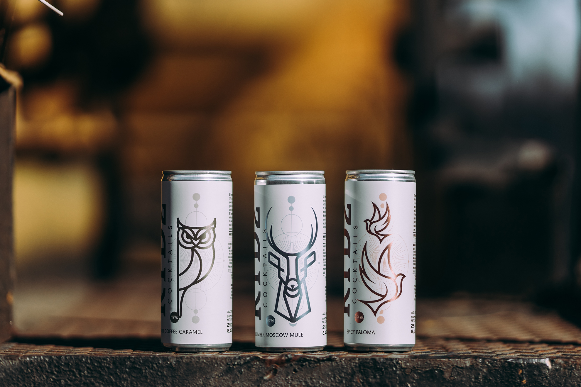 Diseño de Packaging RTD2