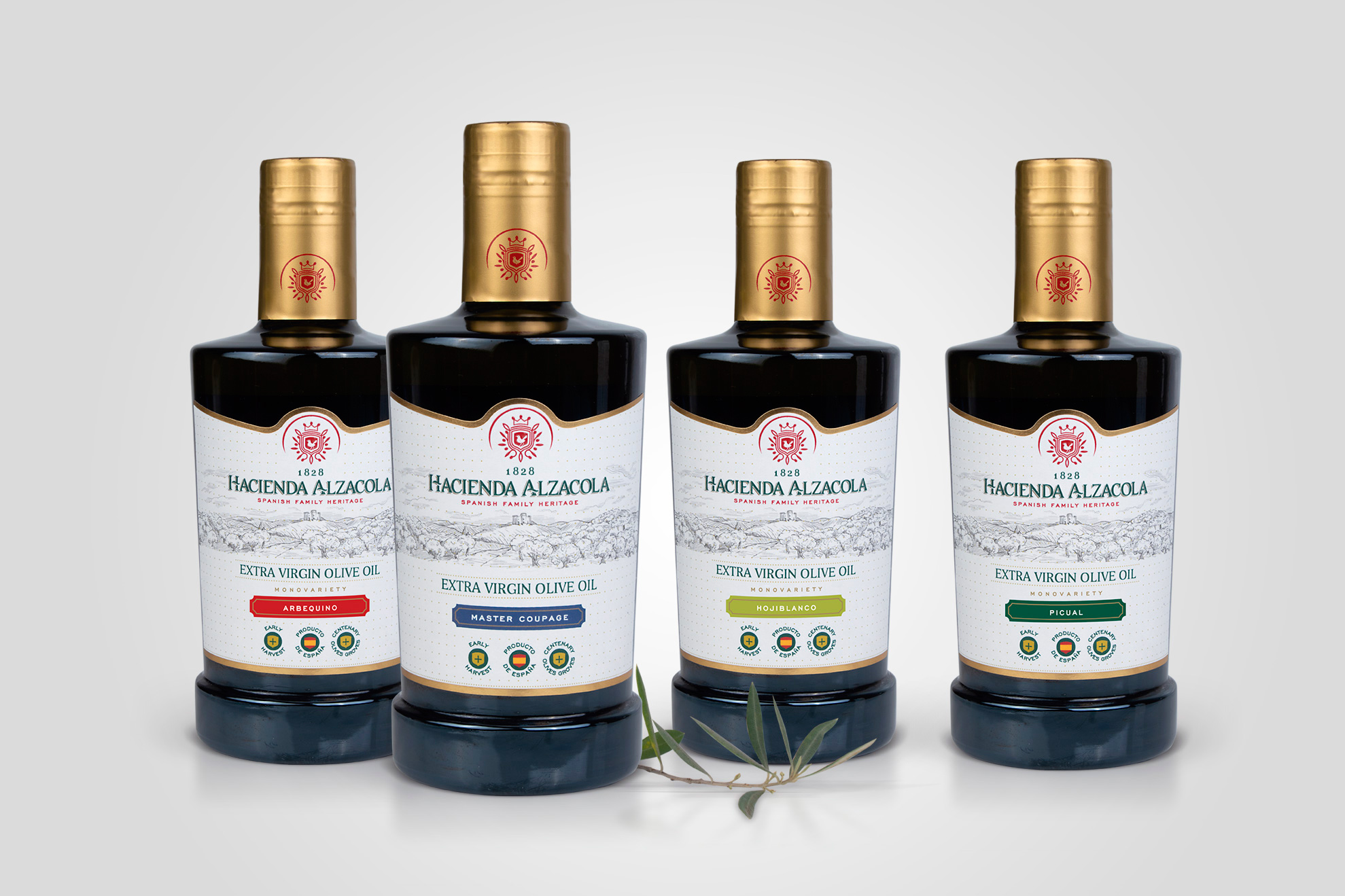 Hacienda Alzacola AOVE