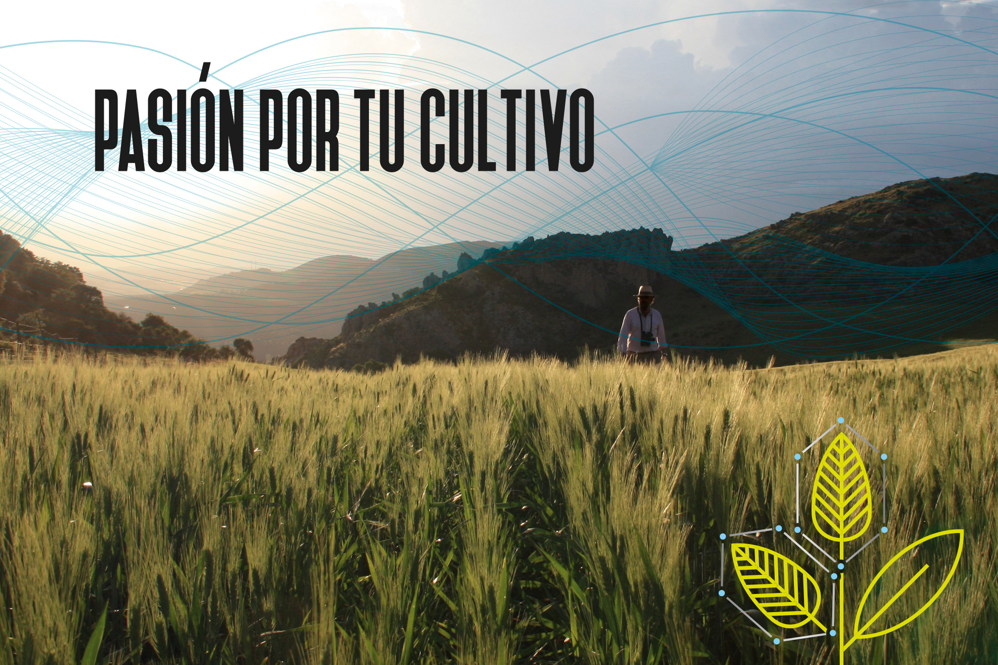 naturgreen branding digital