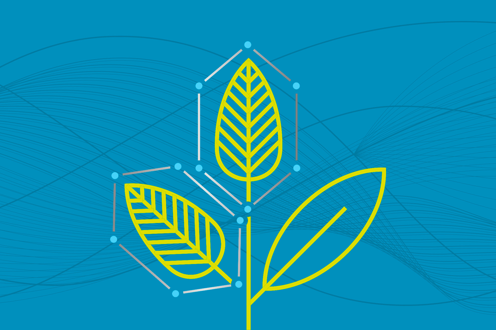 Naturgreen branding digital