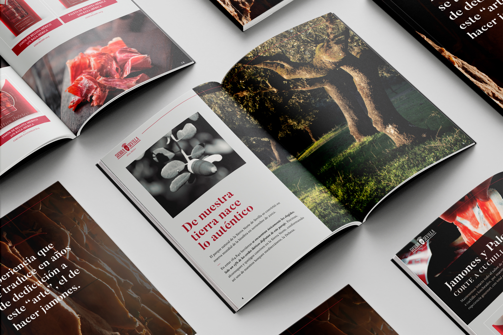 catalogo sierra de sevilla