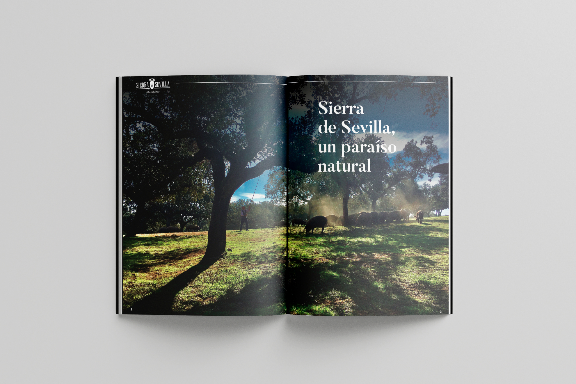 Catalogo Sierra de Sevilla