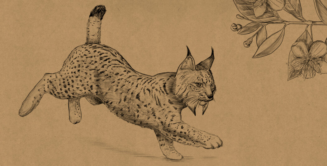 Jipesa: La fuerza de la naturaleza