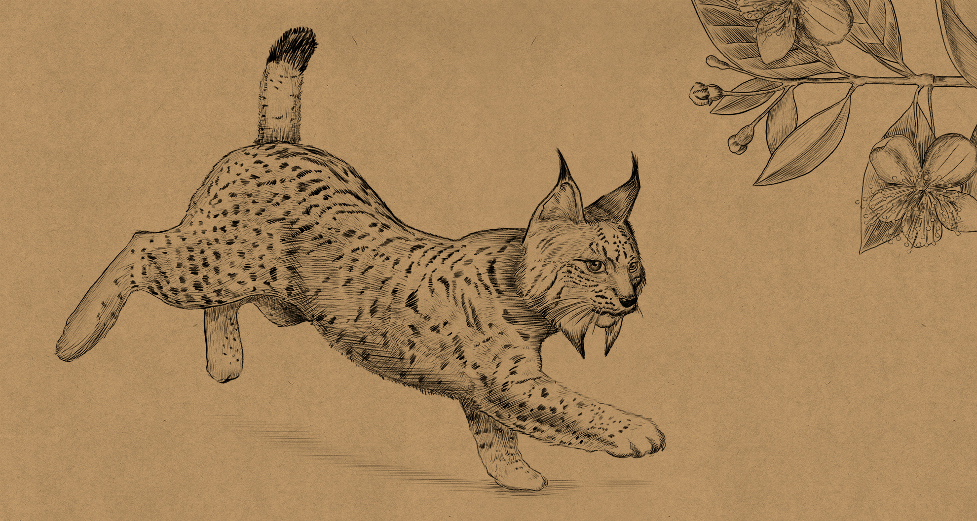 jipesa_la_fuerza-de_la_naturaleza