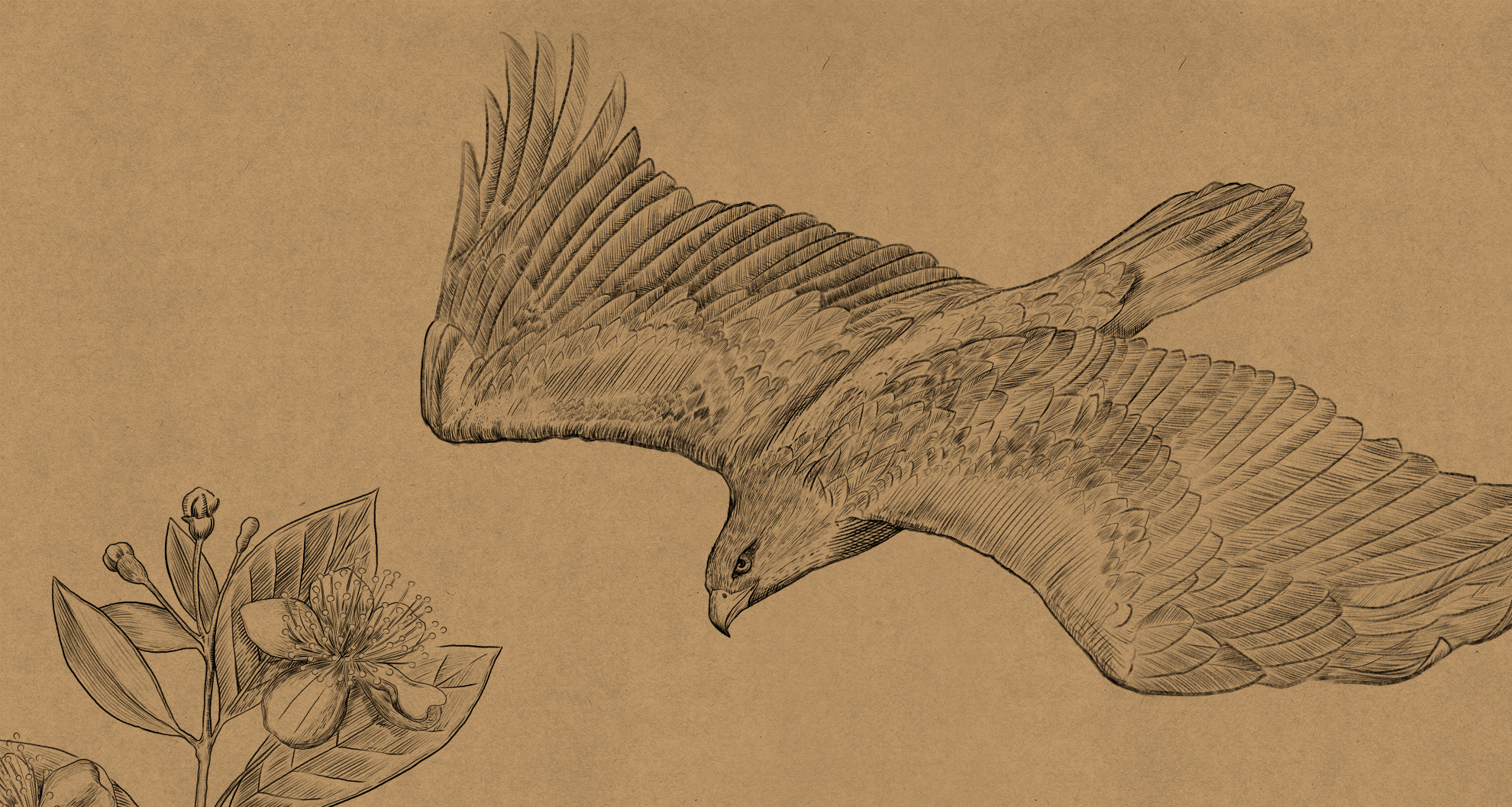 jipesa_la_fuerza-de_la_naturaleza