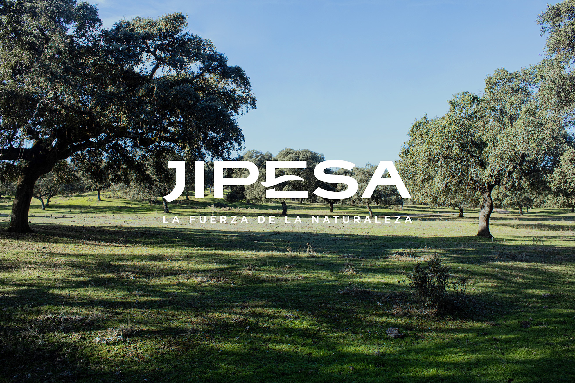 Jipesa packaging sostenible para jamón