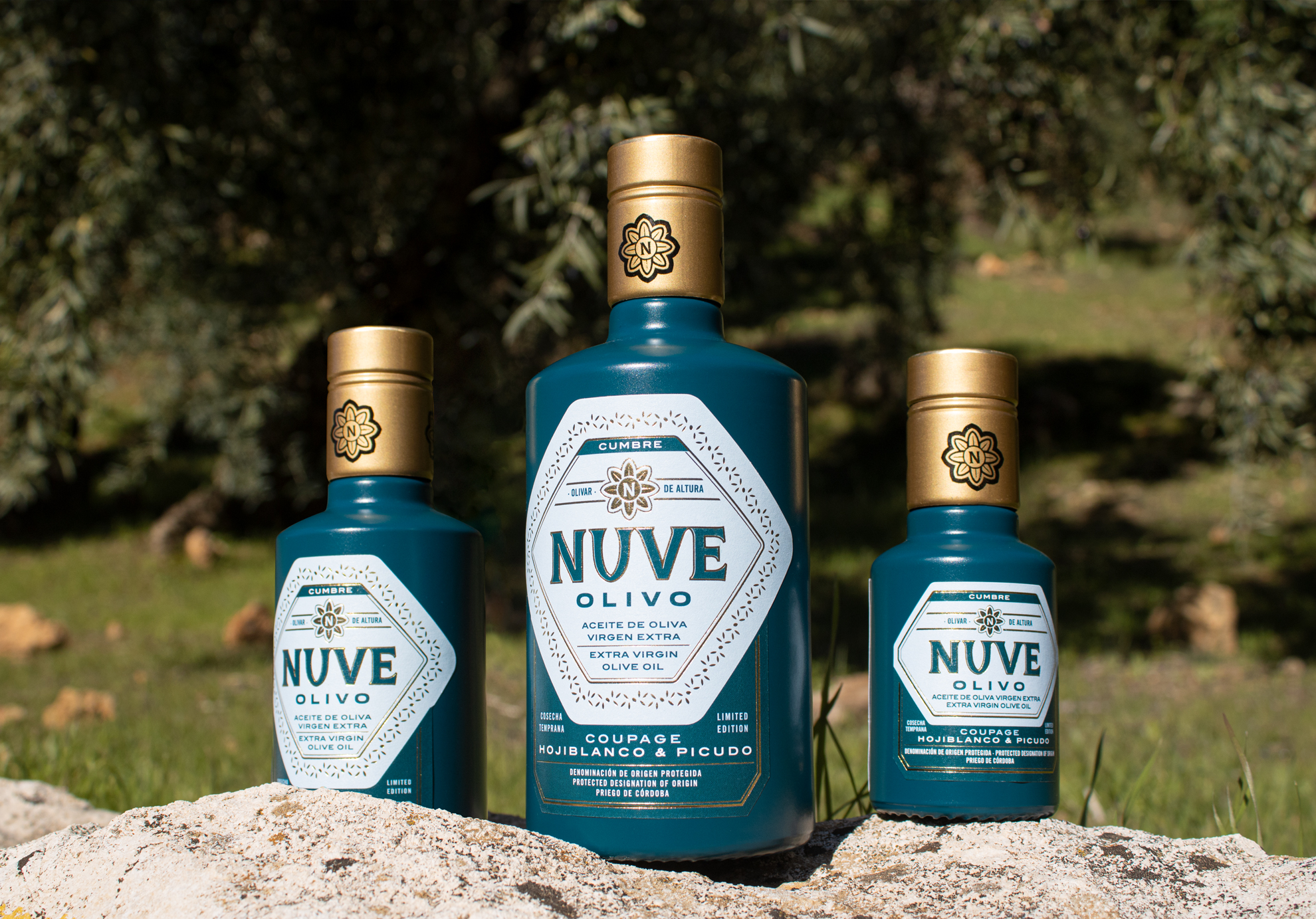 Nuve-olivo-diseño-de-etiqueta-aceite-oliva