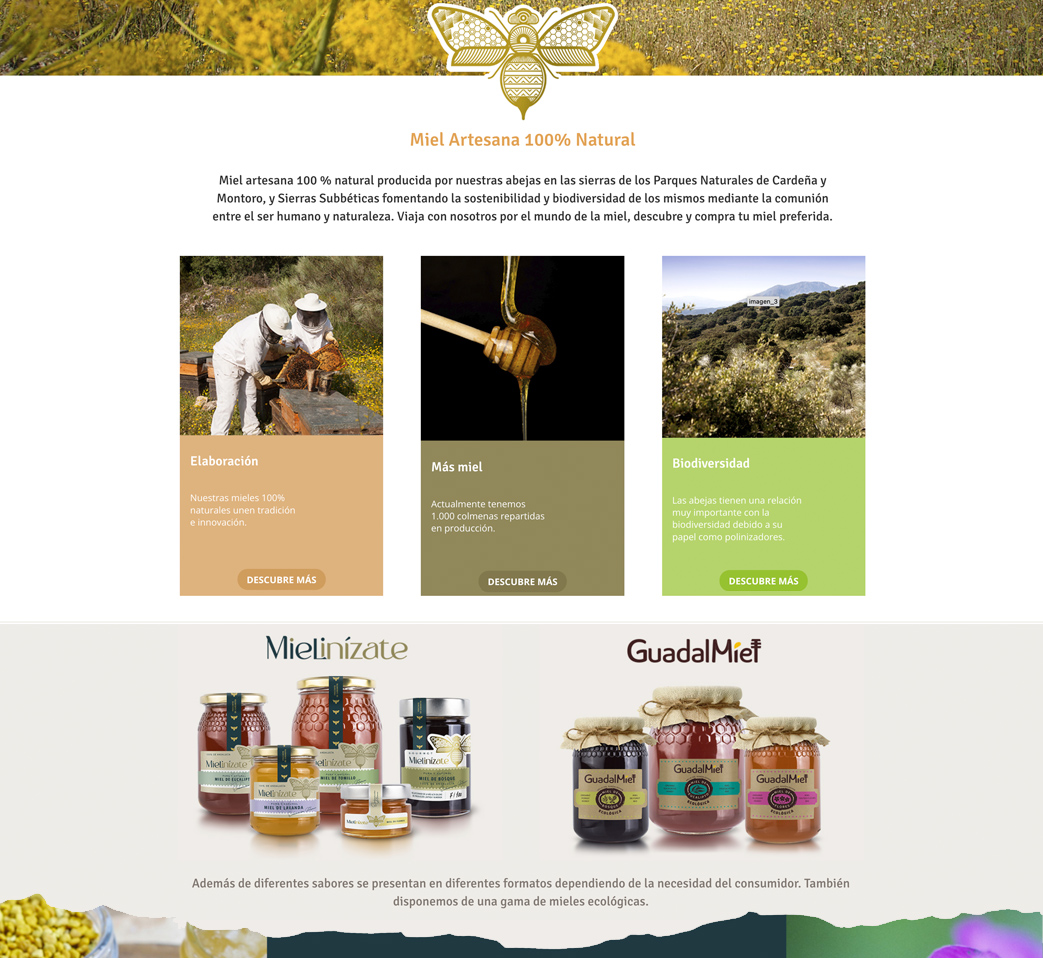 Nueva web Mielinízate