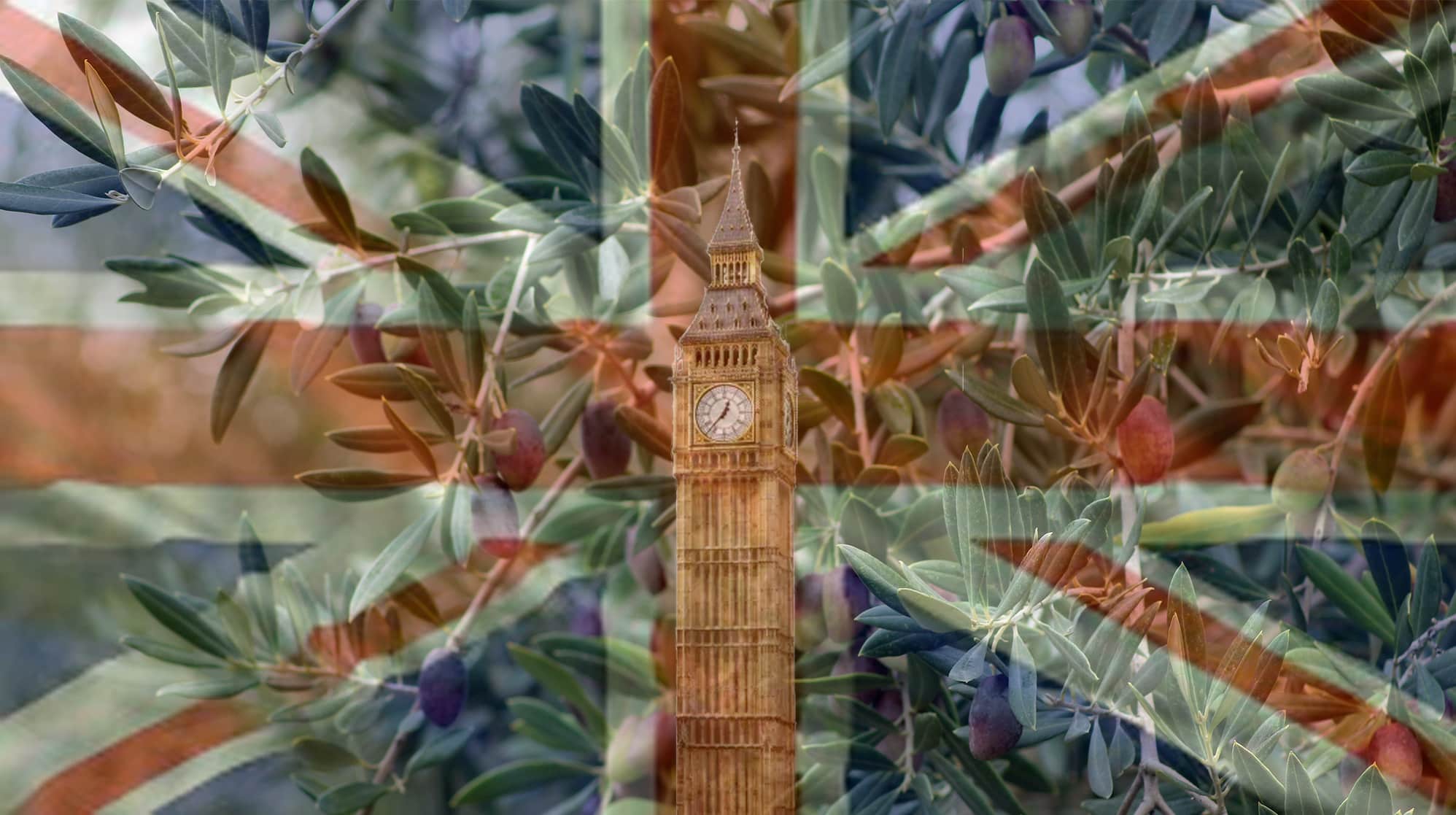 Normativa etiquetado aceite en Reino Unido