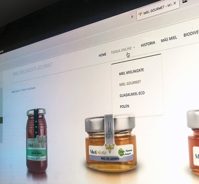 Tienda online Mielinízate