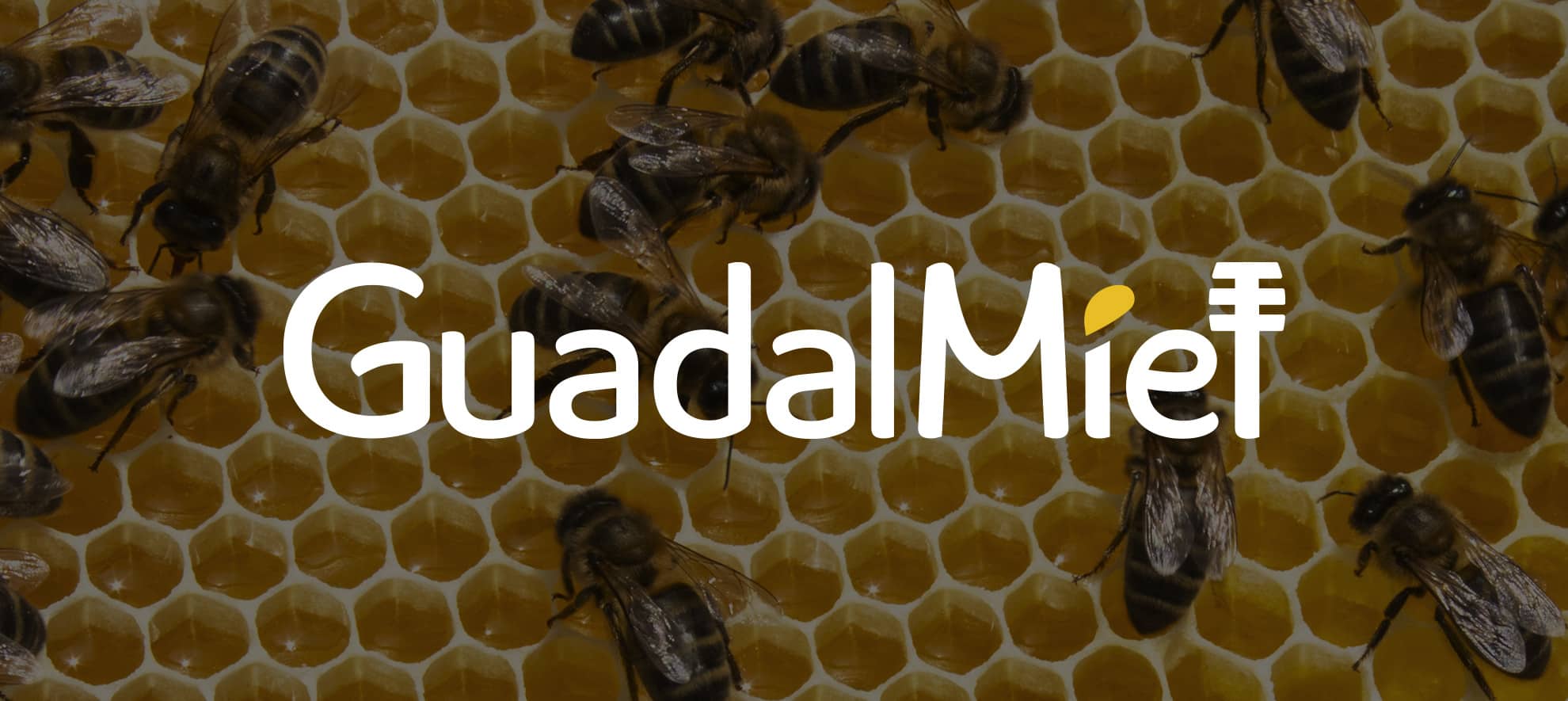 diseño marca miel ecológica