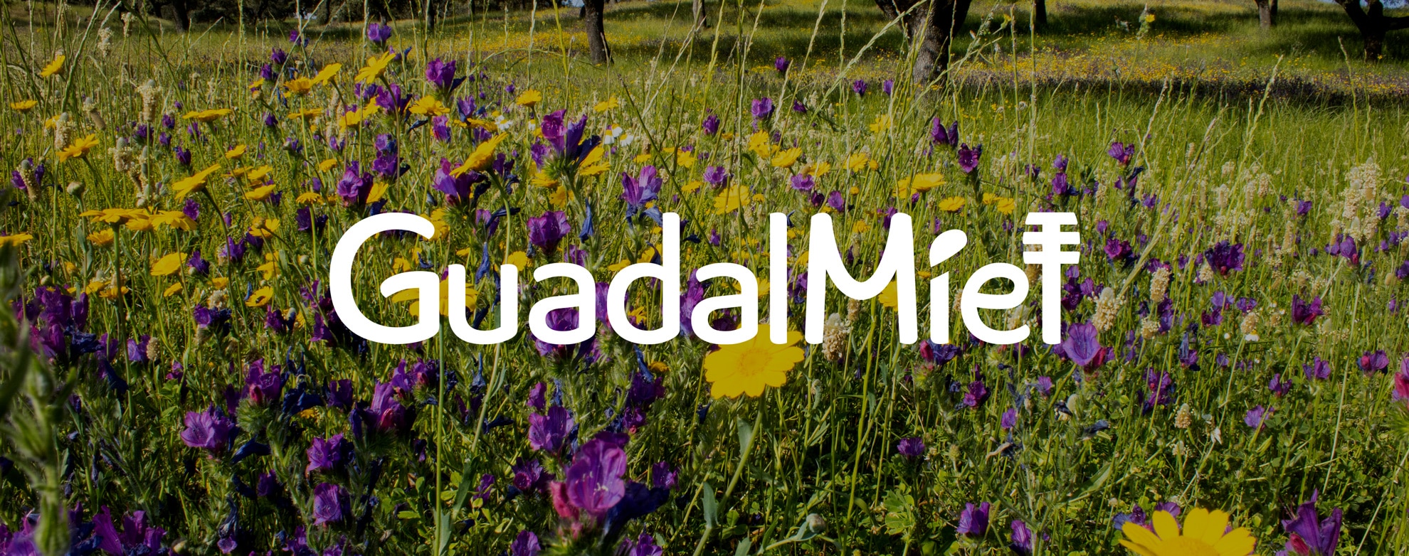 Branding mielinizate