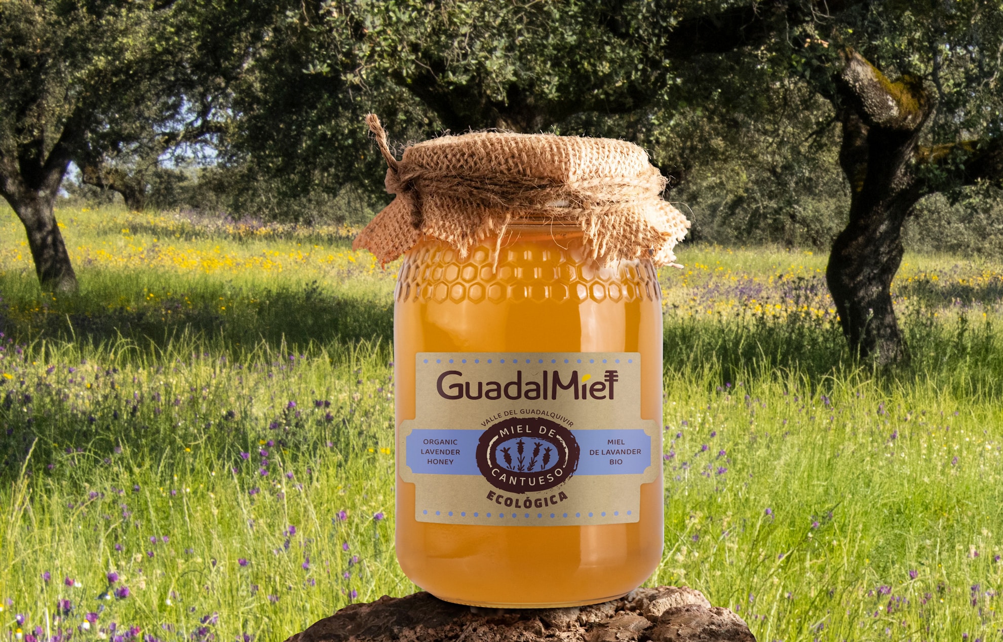 Diseño de etiqueta para miel bio
