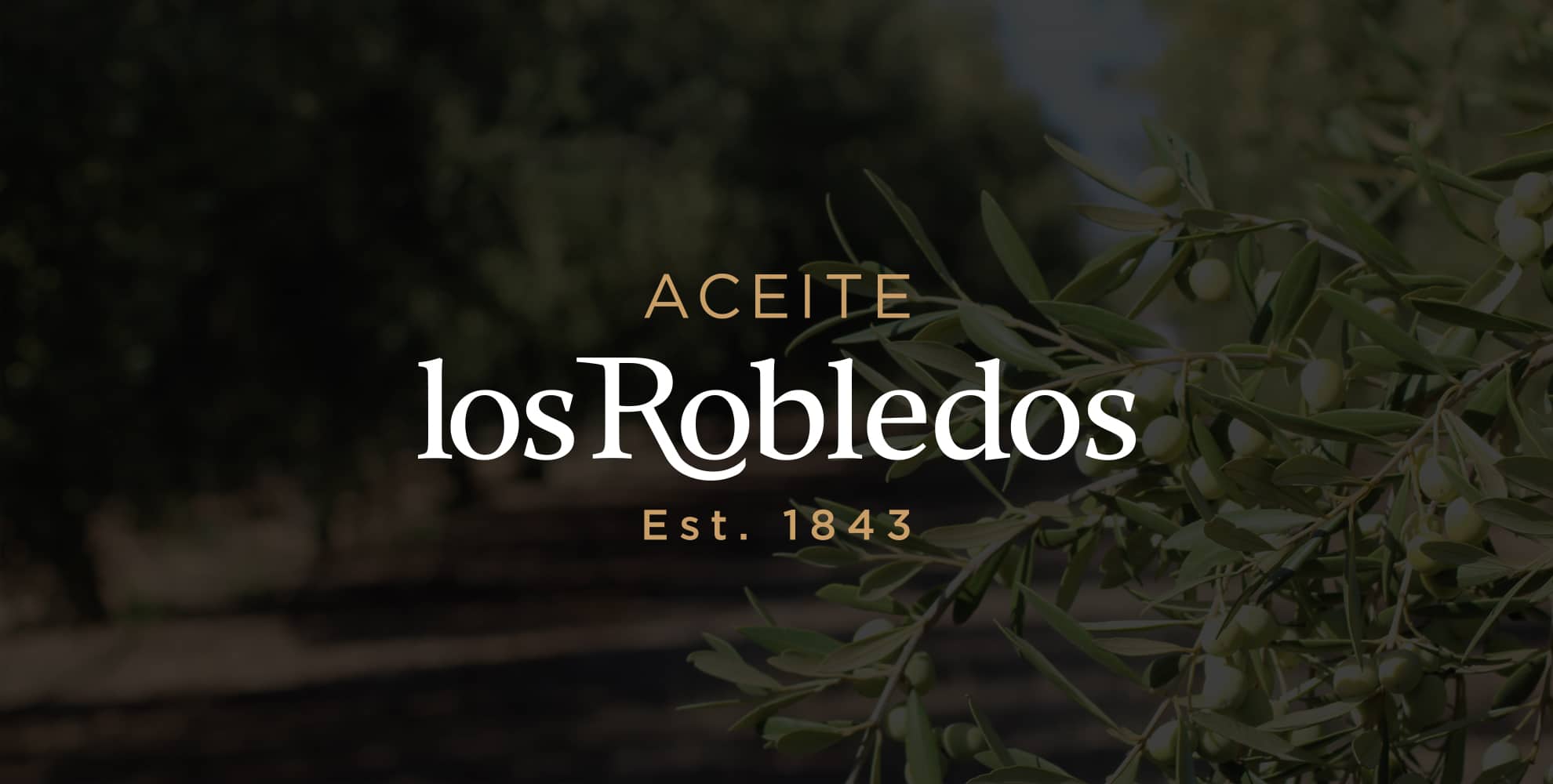 branding aceite de oliva virgen extra