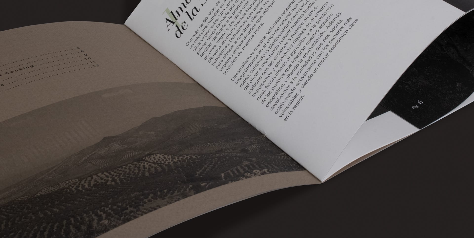 macro catalago almazaras