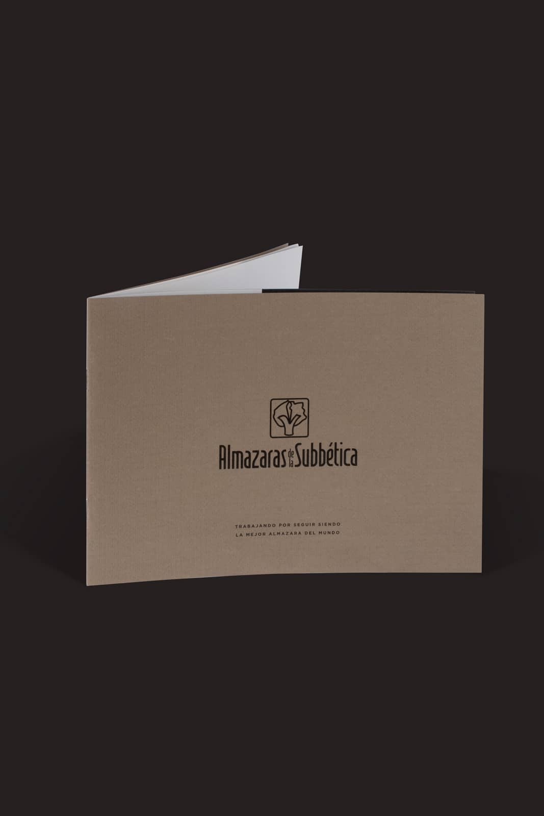 Diseño de catálogo aceite