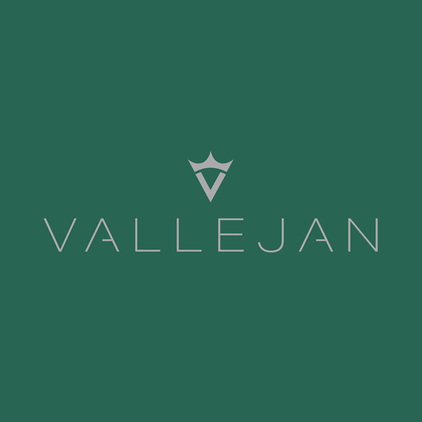 diseño packaging jamon vallejan